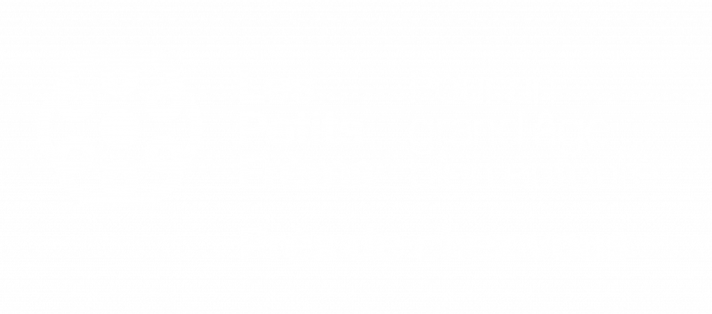 Logo des petits frères.
